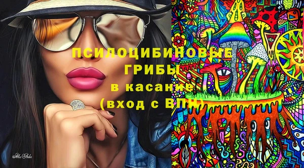 apvp Армянск