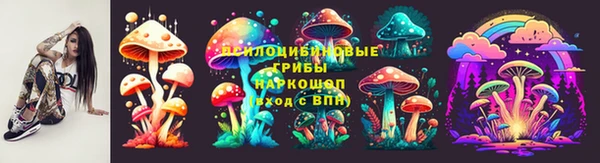 крисы Арсеньев