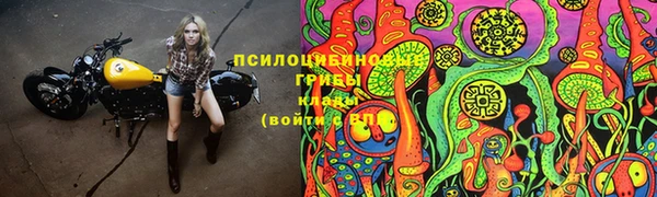 apvp Армянск